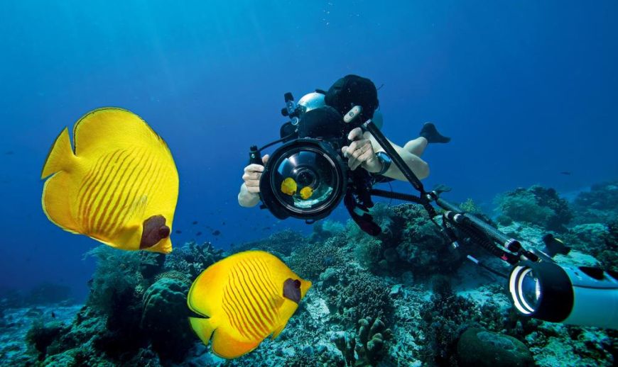 Посібник з підводної фотографії для початківців