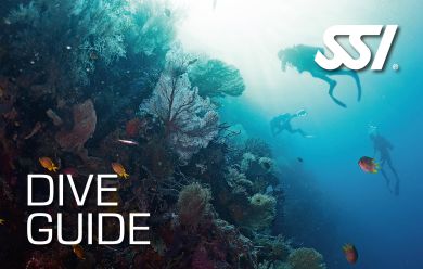 Дайвгід - SSI Dive Guide