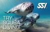 Спробуй дайвінг - SSI Try Scuba