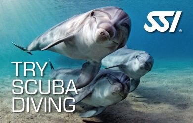 Спробуй дайвінг - SSI Try Scuba